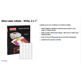 Large Reorder Labels (blank) Large Reorder Labels (blank)