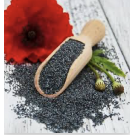 Poppy Seeds Poppy Seeds