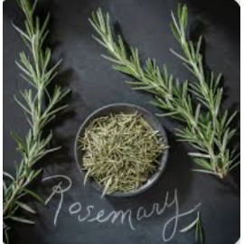Rosemary