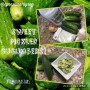 Sweet Pickled Cucumbers Mix - Gluten Free Sweet Pickled Cucumbers Mix - Gluten Free