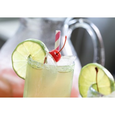 Mojito Wine Slush Mix Mojito Wine Slush Mix